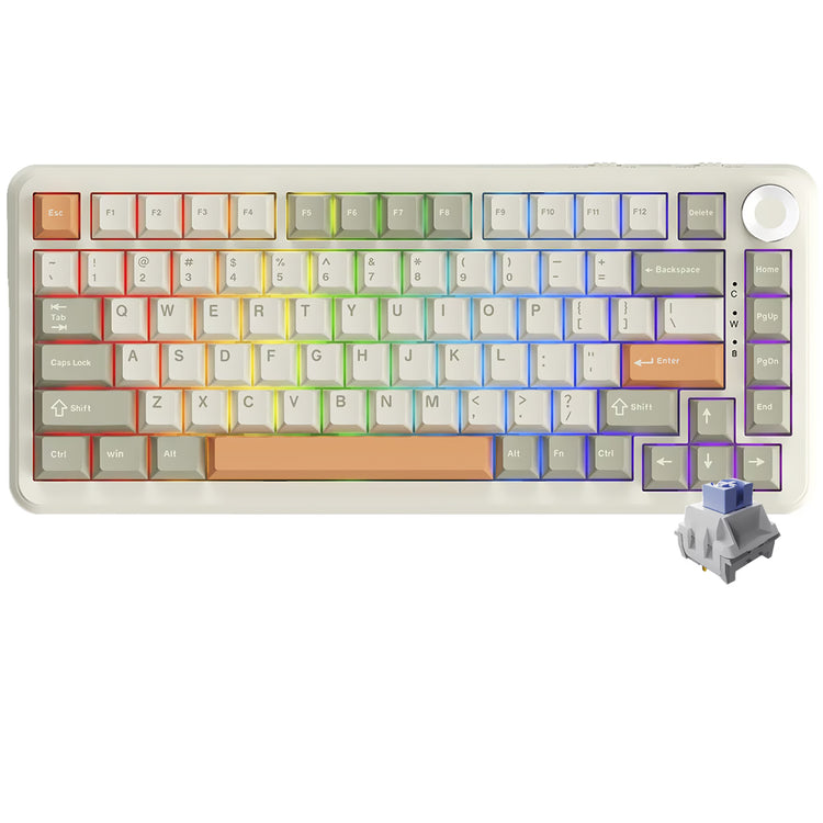 Teclado Gamer Mecânico Ajazz AK820 Max Plus Nacodexx / Flying Fish / Wireless / RGB / Inglês - Gray Cream Orange